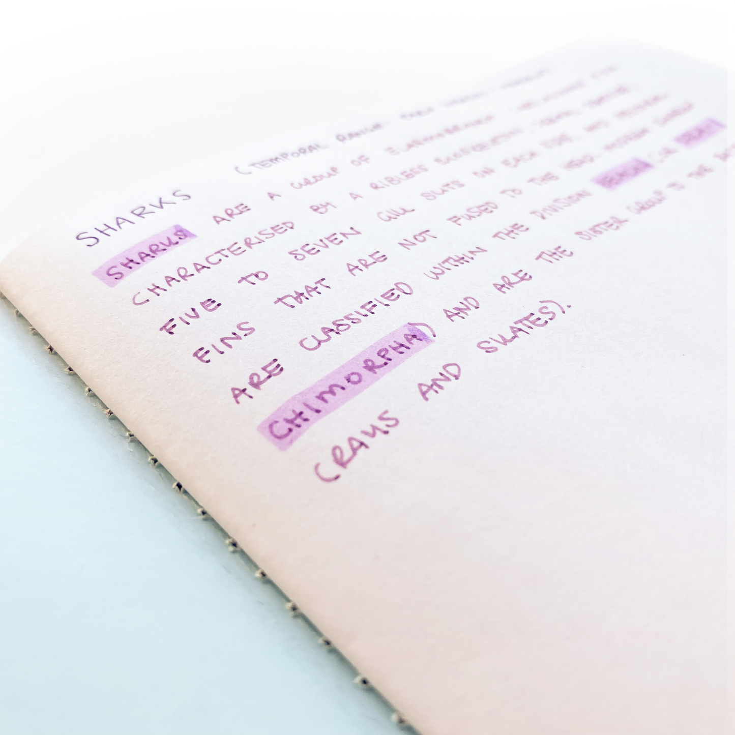 here's an example of my writing in the notebook up close. It has blank pages, so you can do whatever you want with the notebook!
