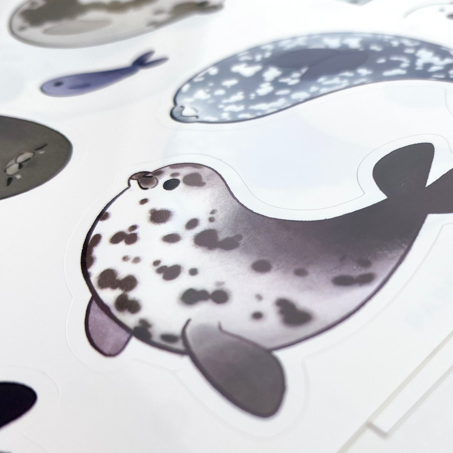 chubby seals sticker sheet