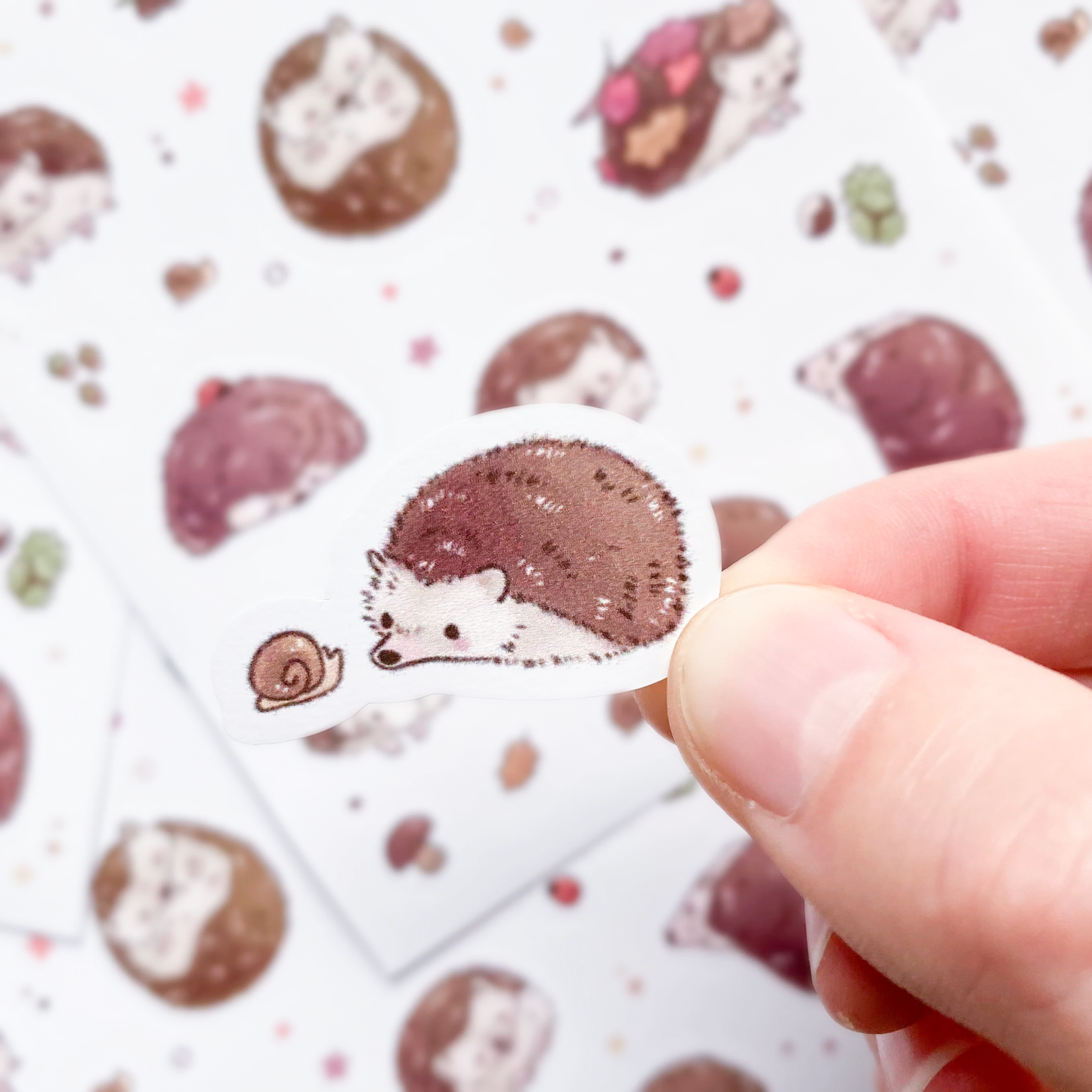 A sticker of a hedgehog curiously looking at a snail. Each sticker is an individual unique drawing of a hedgehog in a different pose. Some are rolled up, one has leaves stuck to its back, another is nestled between some mushrooms and one is eating a worm! Yum!