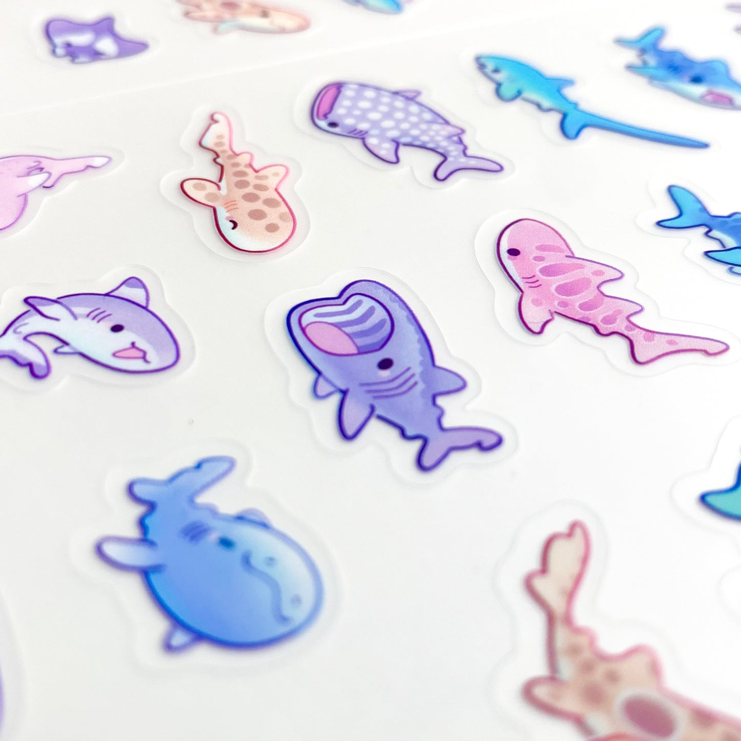 a close-up of the stickers to show the good print quality. In the middle is a basking shark with its mouth open.