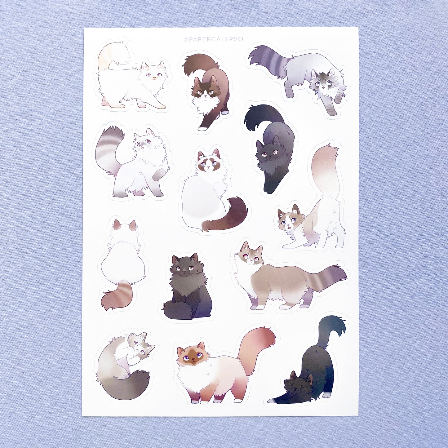 cat sticker sheet