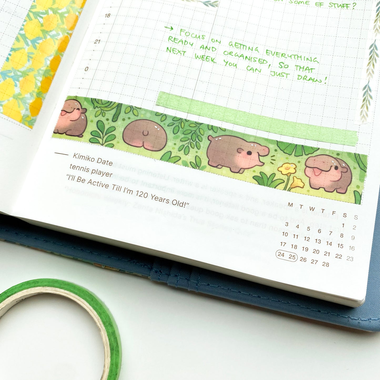 an example of how to use your hippo washi tape in your hobonichi journal!