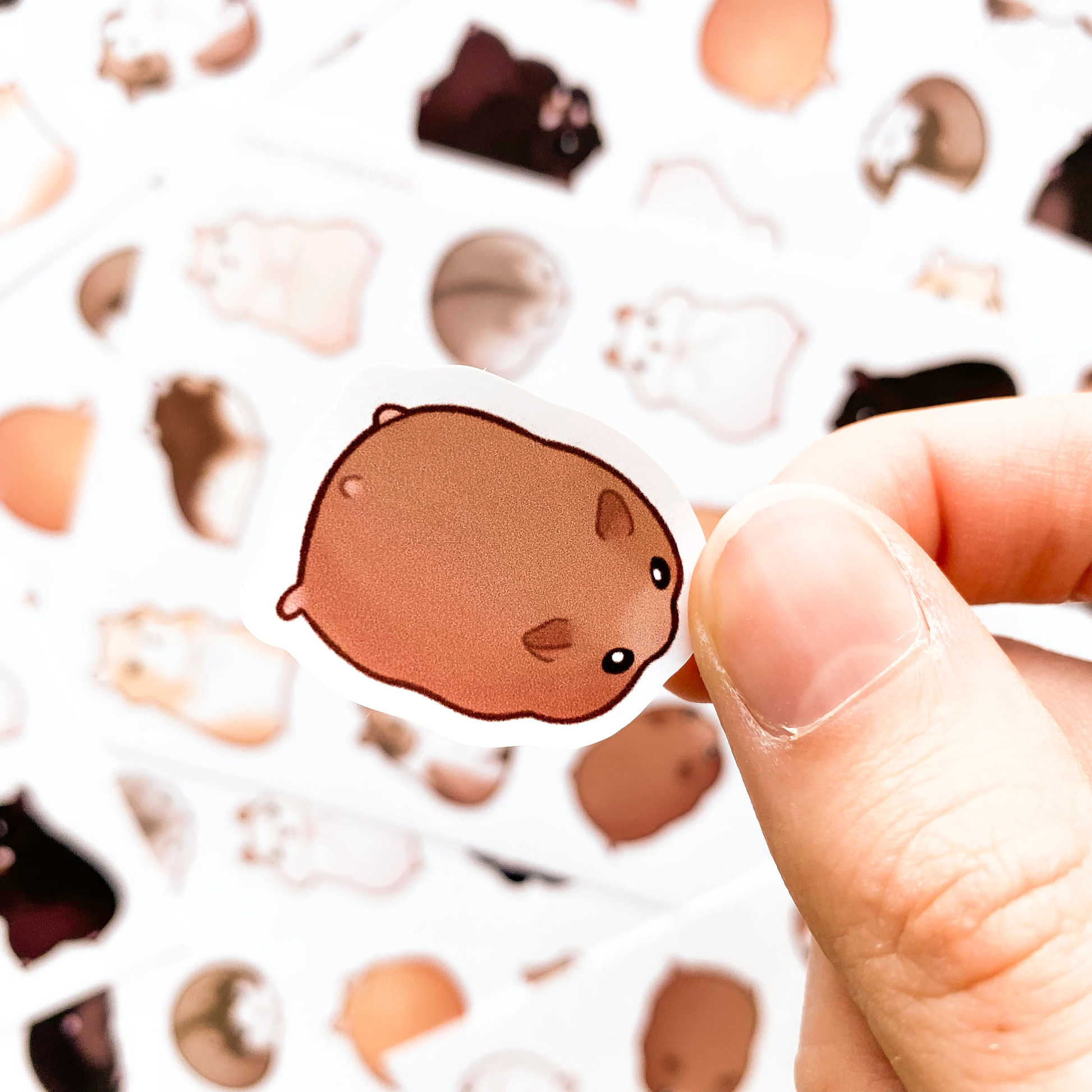 A sticker of flat hamster, he looks like a little pancake. Each sticker is an individual unique drawing of a hamster in a different pose. They're all doing different things, most of them are just sitting or lying there and looking cute, some are eating.