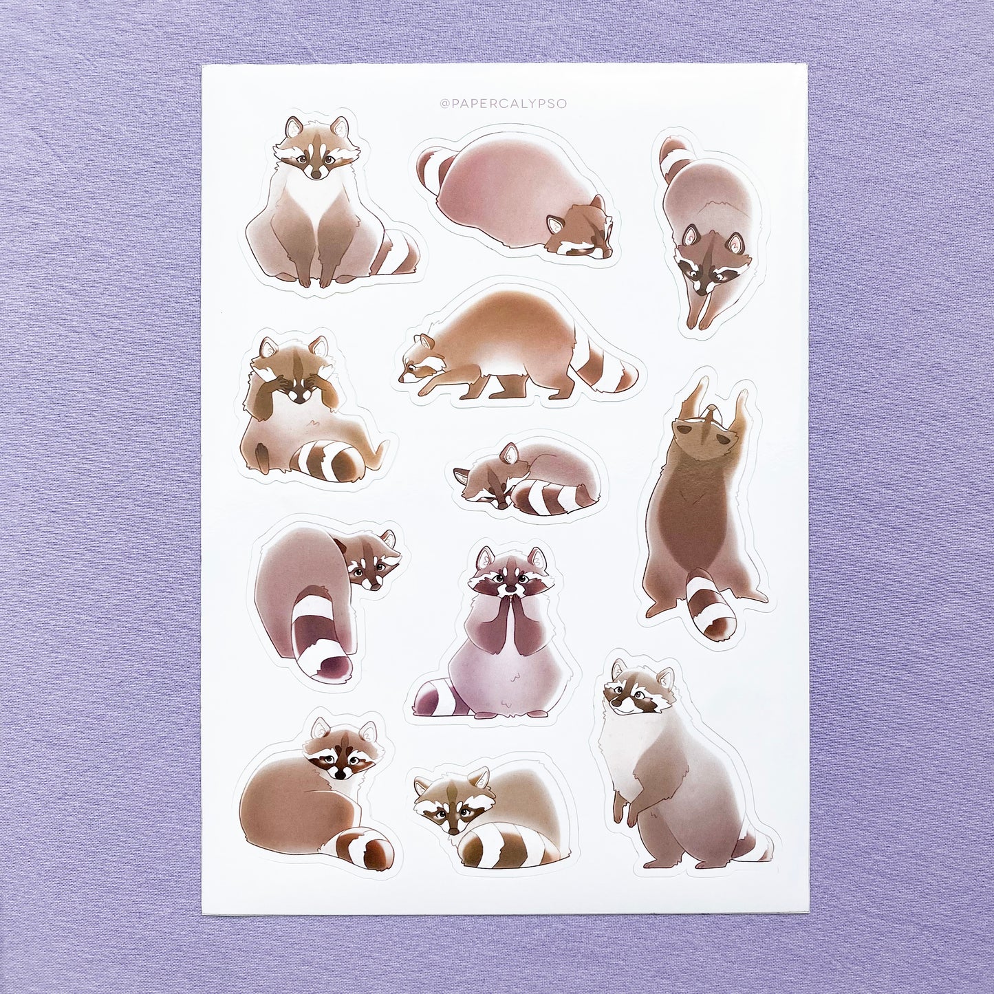 silly raccoons sticker sheet