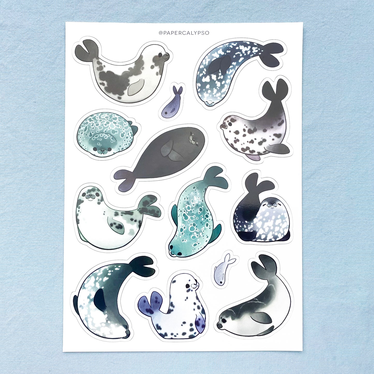 a vinyl sticker sheet full of seals playing, swimming and smiling.