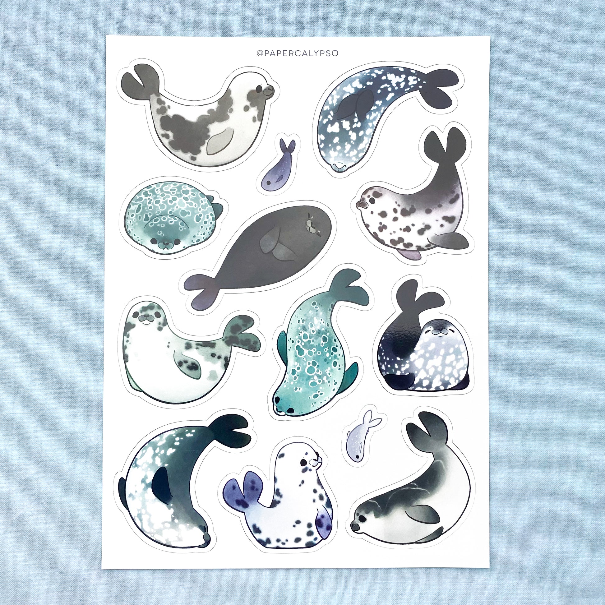 a vinyl sticker sheet full of seals playing, swimming and smiling.