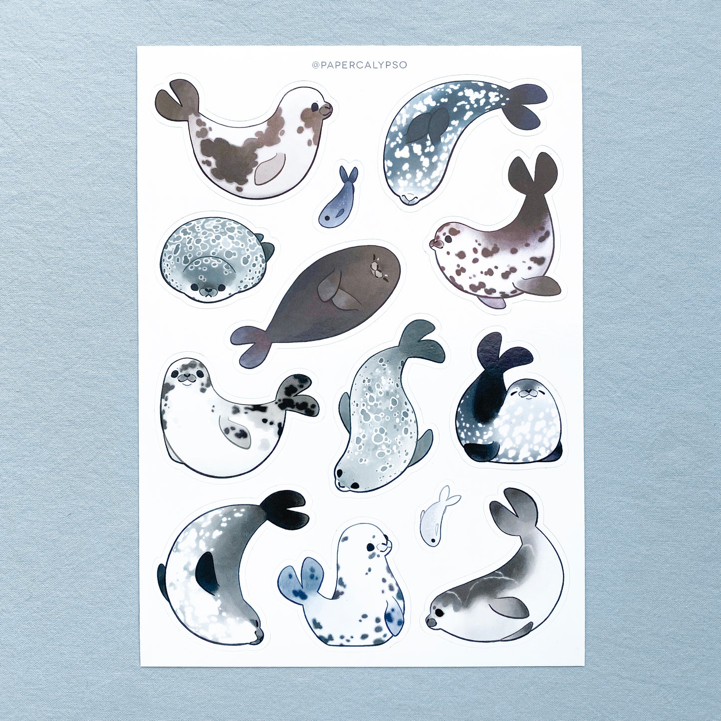 a vinyl sticker sheet full of seals playing, swimming and smiling.