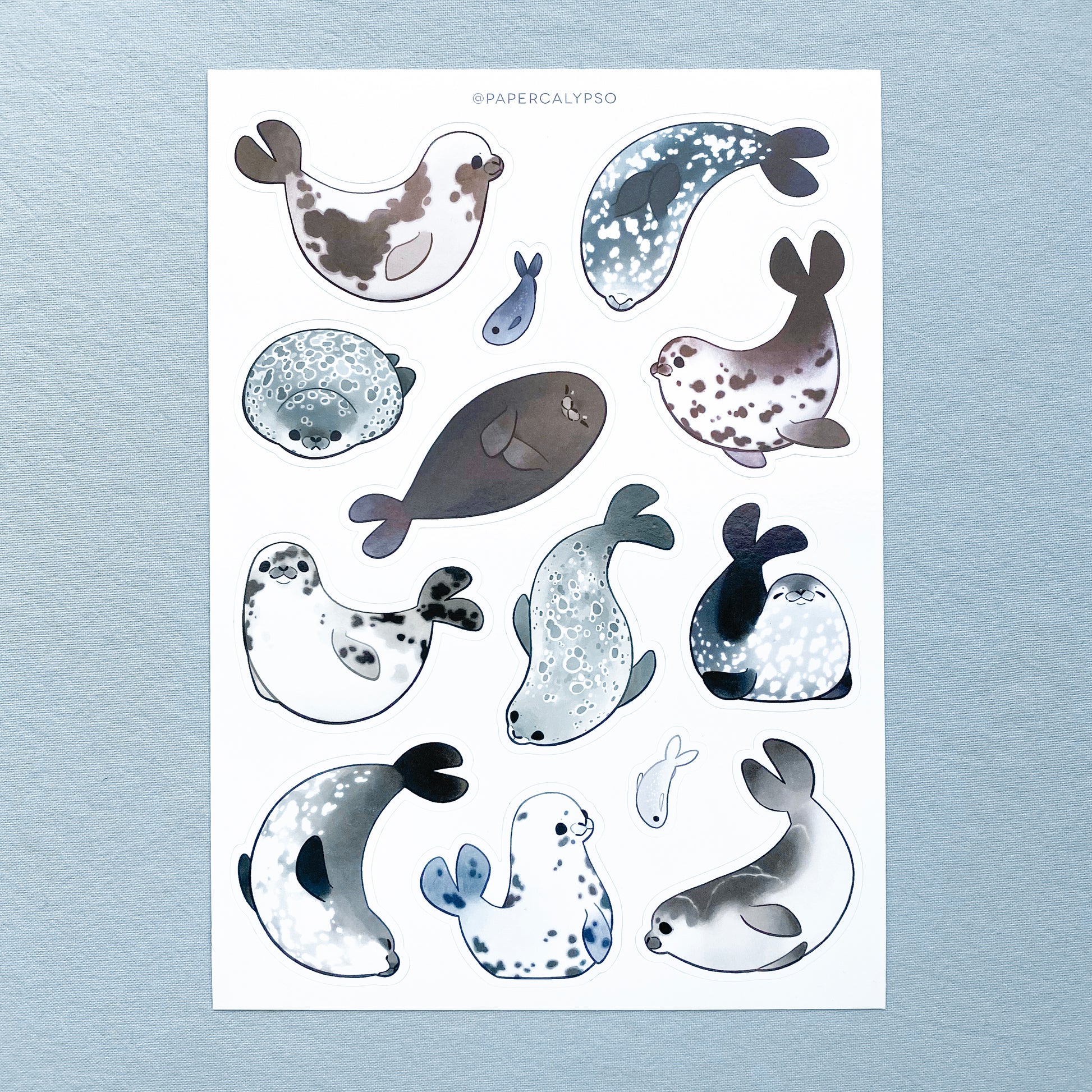 a vinyl sticker sheet full of seals playing, swimming and smiling.